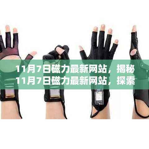 揭秘11月7日磁力最新网站,科技前沿信息的探索门户