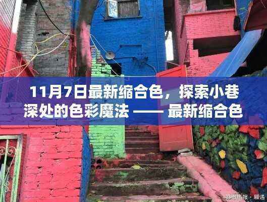 最新缩合色探索,小巷深处的色彩魔法与小店的秘密揭秘