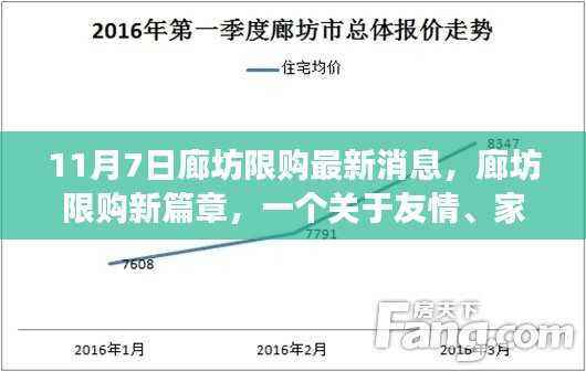 廊坊限购新篇章,友情、家庭与温馨日常的趣事