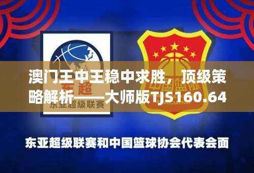 澳门王中王稳中求胜,顶级策略解析——大师版TJS160.64安全攻略