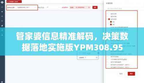 管家婆信息精准解码,决策数据落地实施版YPM308.95