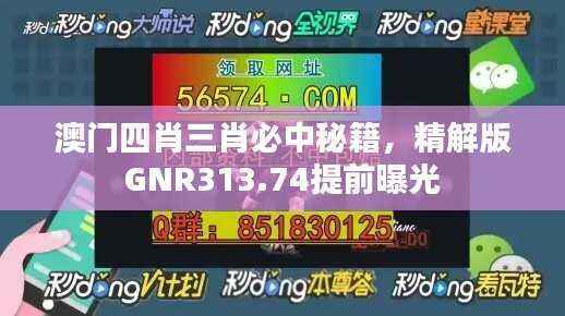 澳门四肖三肖必中秘籍,精解版GNR313.74提前曝光