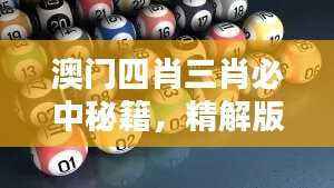 澳门四肖三肖必中秘籍,精解版GNR313.74提前曝光
