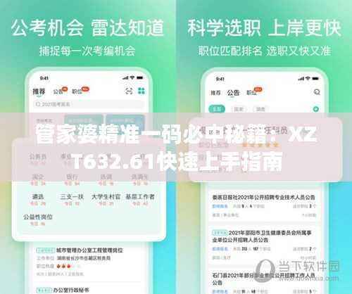 管家婆精准一码必中秘籍:XZT632.61快速上手指南