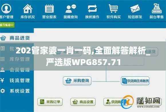 202管家婆一肖一码,全面解答解析_严选版WPG857.71