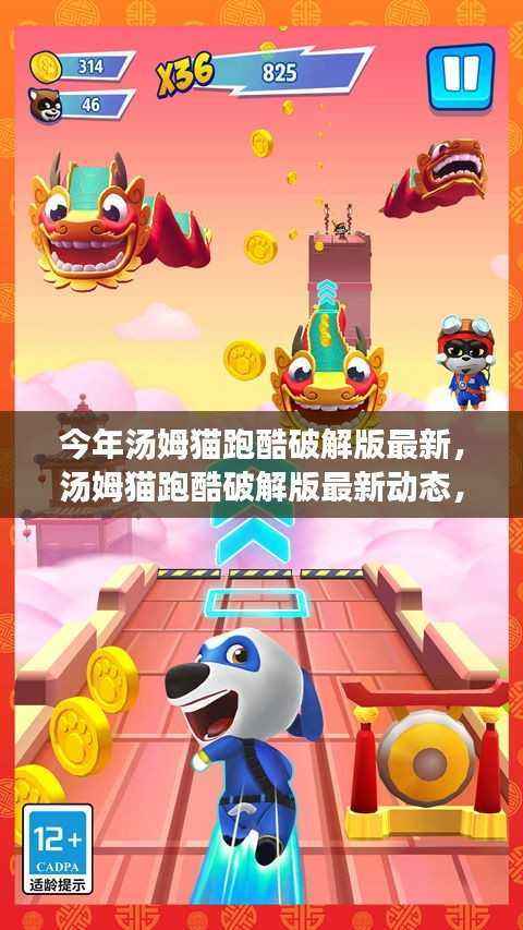 汤姆猫跑酷破解版最新动态,法律、游戏与消费者权益的探讨