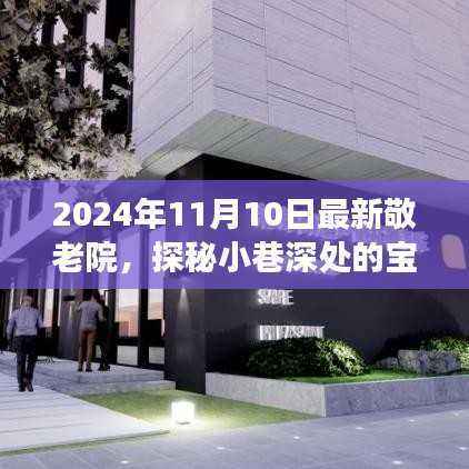 探秘宝藏之地,揭秘最新敬老院的非凡魅力之旅(2024年11月)