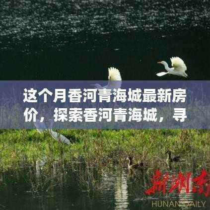 香河青海城最新房价探索,寻找内心宁静的置业之旅
