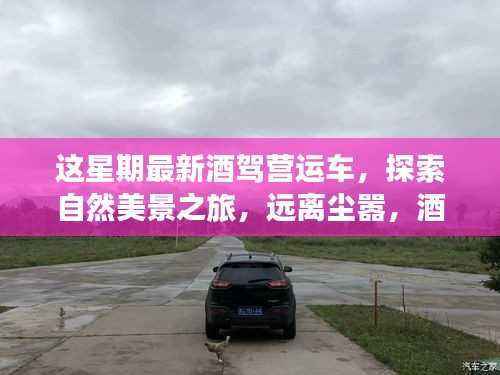 探索自然美景之旅,警惕酒驾,启程寻找内心平静之路