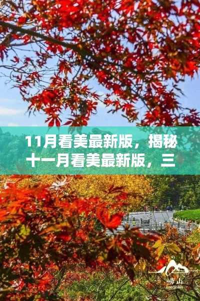揭秘十一月看美最新版三大看点抢鲜览!