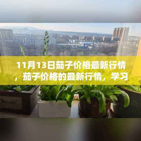 11月13日茄子价格最新动态,学习变化,收获自信与成就感