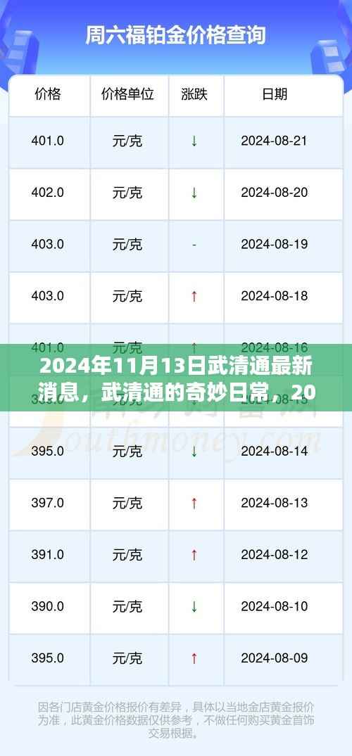 武清通最新消息揭秘,2024年11月13日的奇妙日常与温馨时光