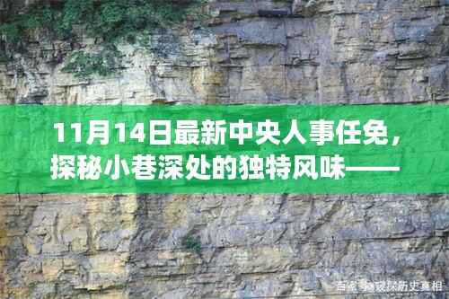 中央人事任免日下的惊喜发现,小巷深处的独特风味