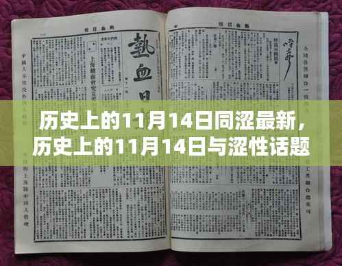 关于涩性话题的历史探讨,个人观点分析视角下的11月14日观察