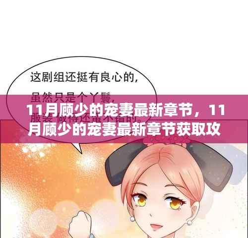 11月顾少的宠妻最新章节获取攻略,从零开始教你轻松阅读连载小说