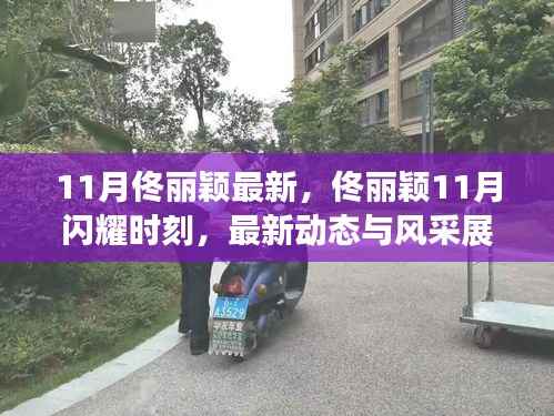 佟丽颖11月闪耀瞬间,最新动态与风采展现