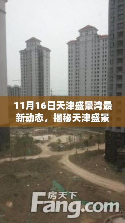 天津盛景湾最新进展揭秘,11月16日动态更新报告