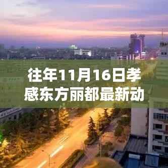揭秘往年11月16日孝感东方丽都最新动态,精彩瞬间一览无余!