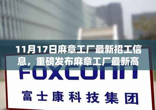麻章工厂最新高科技招工信息重磅发布,科技引领未来工厂新纪元!