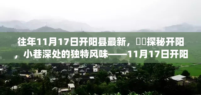 探秘开阳,揭秘小巷深处的独特风味——开阳县惊喜之旅(最新篇)