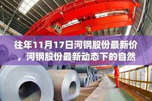 河钢股份最新动态下的自然之旅,探寻内心宁静与力量的历程