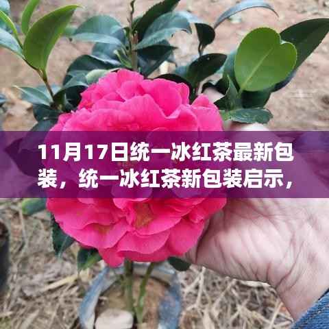 统一冰红茶新包装启示,变化中的学习与成就感的源泉