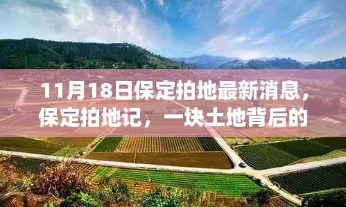 保定拍地记,土地背后的温情与友情纽带最新消息揭秘