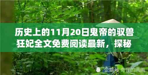 历史上的驭兽狂妃揭秘,鬼帝的秘密基地与免费阅读盛宴