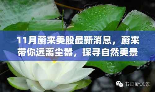 蔚来探寻自然美景背后的心灵之旅,11月美股新动态与蔚来最新消息温暖相伴