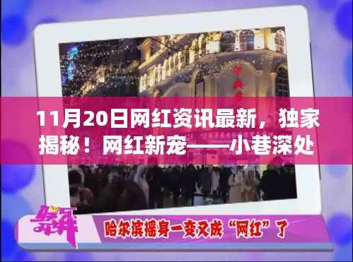 独家揭秘!网红新宠神秘特色小店,小巷深处的最新资讯与秘密曝光(11月20日更新)