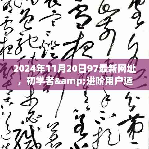 最新网址指南,初学者与进阶用户如何访问最新网址(适用于2024年)