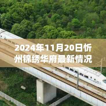2024年11月20日忻州锦绣华府最新动态解析与观点洞察