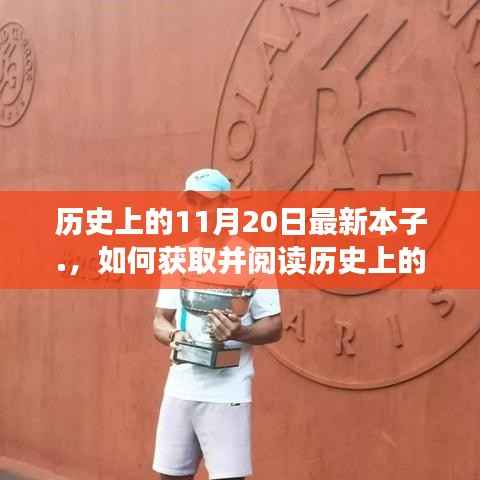 11月20日历史本子获取与阅读指南,初学者与进阶用户的步骤教程