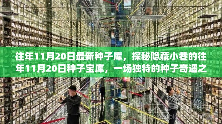 探秘隐藏小巷的往年11月20日种子宝库,种子奇遇之旅开启