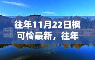 往年11月22日枫可怜最新,往年11月22日枫可怜最新动态,三大要点深度解析