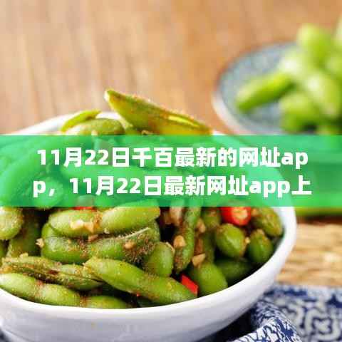 警惕风险犯罪问题,最新网址app上线,11月22日千百最新网址app解析