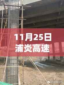 11月25日浦炎高速建设进展概览,最新动态报道