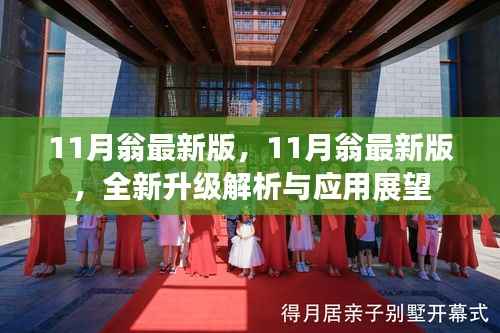 11月翁最新版全新升级解析与应用展望报告