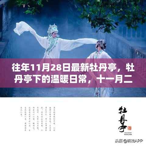 牡丹亭下的温暖日常,十一月二十八日的友情记忆