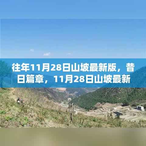 昔日篇章与时代印记,11月28日山坡最新版的变迁与回顾
