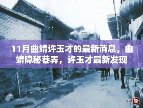 曲靖隐秘巷弄中的独特小店,许玉才最新发现惊艳十一月