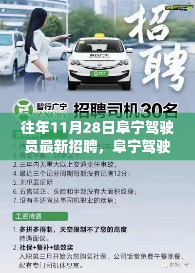 阜宁驾驶员最新招聘活动介绍与深度评测