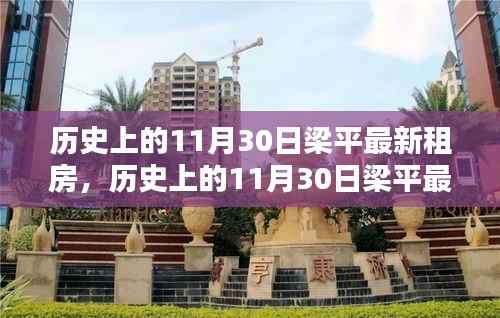 历史上的11月30日梁平最新租房,深度测评与用户体验分析