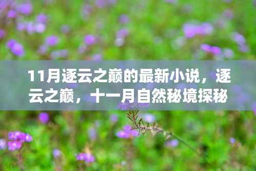 逐云之巅,十一月自然秘境探秘之旅,寻找内心平静的奇妙旅程