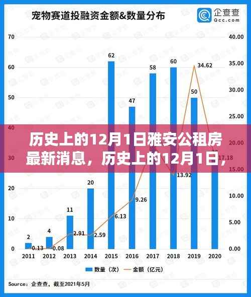 雅安公租房最新消息全解析,历史上的12月1日动态回顾与最新进展解析