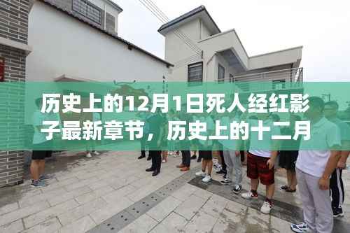 历史上的十二月一日,死者与红影子的交织——最新章节解读与观点阐述