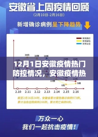 安徽疫情热门防控情况详解,初学者与进阶用户适用的步骤指南(12月1日更新)