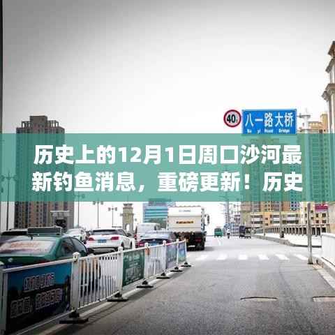 历史上的12月1日周口沙河钓鱼新动态,垂钓盛宴与鱼获满满的最新消息