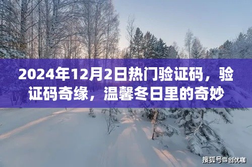 温馨冬日奇缘,验证码奇缘与奇妙友情的诞生(2024年热门验证码揭秘)