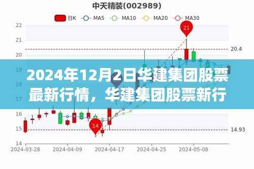 华建集团股票最新行情下的心灵静谧之旅,自然之旅启程